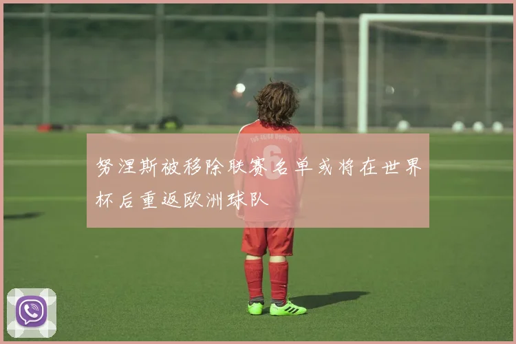 努涅斯被移除联赛名单或将在世界杯后重返欧洲球队